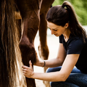 Webinar „Gesunde Sehnen und Gelenke – durch angepasste Fütterung vorbeugen und unterstützen“ – 04.05.2023